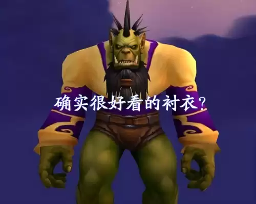 wlk哪4个战袍　魔兽世界绝版战袍-第10张