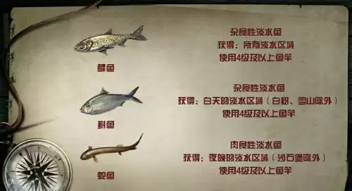 明日之后鲥鱼怎么钓　明日之后鹦嘴鱼在哪钓-第5张