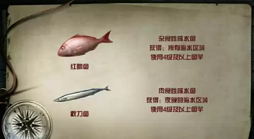 明日之后鲥鱼怎么钓　明日之后鹦嘴鱼在哪钓-第6张