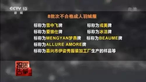 冰洁羽绒服是哪里生产的　冰洁是什么档次的牌子-第7张
