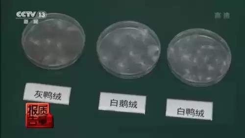 冰洁羽绒服是哪里生产的　冰洁是什么档次的牌子-第11张
