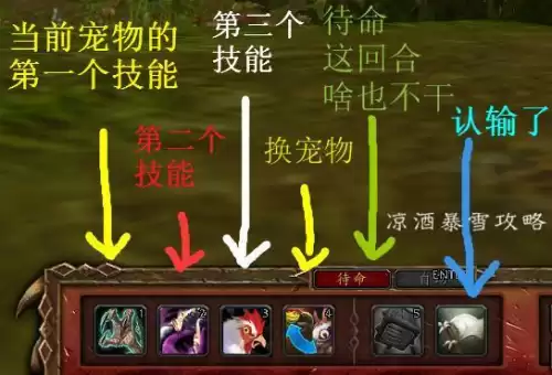 魔兽怎么开启宠物战斗　魔兽世界怎么宠物对战-第6张