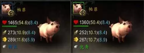 魔兽怎么开启宠物战斗　魔兽世界怎么宠物对战-第10张