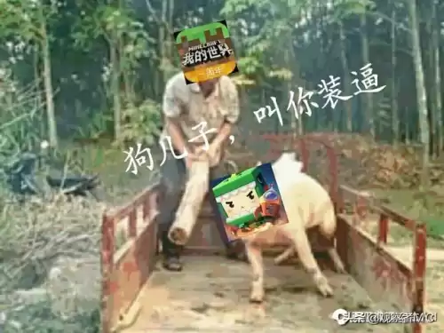 迷你世界哪个国家开发了　迷你世界是哪个国家发明的游戏-第2张