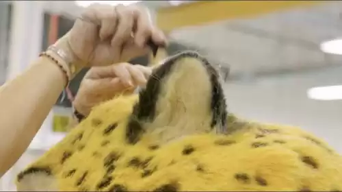 疯狂动物城拍照的片段在什么时候　疯狂动物城壁纸-第14张