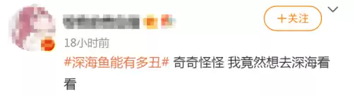 狼鳗鱼为什么不能捉　鳗鱼和海鳗鱼是一种鱼吗-第12张