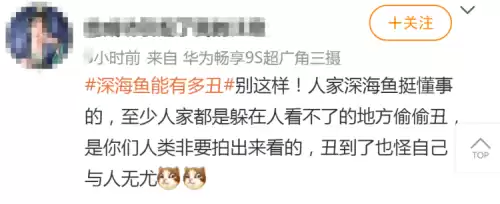 狼鳗鱼为什么不能捉　鳗鱼和海鳗鱼是一种鱼吗-第13张
