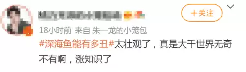 狼鳗鱼为什么不能捉　鳗鱼和海鳗鱼是一种鱼吗-第11张