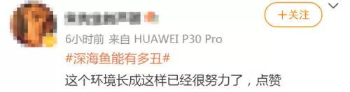 狼鳗鱼为什么不能捉　鳗鱼和海鳗鱼是一种鱼吗-第14张