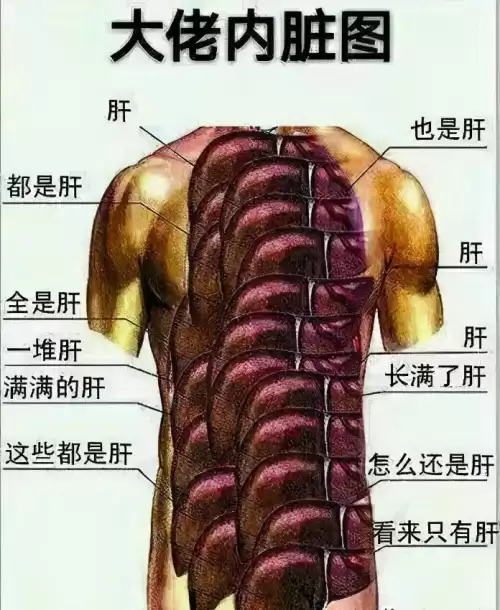 梦幻西游手游54升55要多少经验　梦幻西游手游45到50升级攻略-第7张