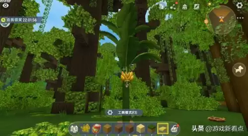 迷你世界如何种植雨林乔木　雨林缸苔藓种植方法-第1张