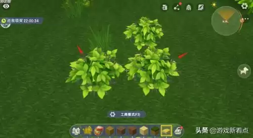迷你世界如何种植雨林乔木　雨林缸苔藓种植方法-第6张