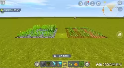 迷你世界如何种植雨林乔木　雨林缸苔藓种植方法-第11张