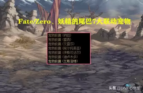 dnf宠物能不能交易　DNF宠物怎么买-第1张