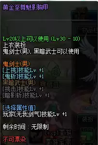 dnf剑魂装扮上衣属性选择　dnf剑魂上衣技能选择无我剑气吗-第3张