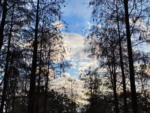 吃鸡怎么看是安卓还是苹果　吃鸡有ios和安卓的区别吗-第14张