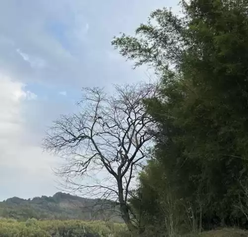 吃鸡怎么看是安卓还是苹果　吃鸡有ios和安卓的区别吗-第23张