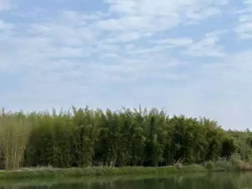 吃鸡怎么看是安卓还是苹果　吃鸡有ios和安卓的区别吗-第22张