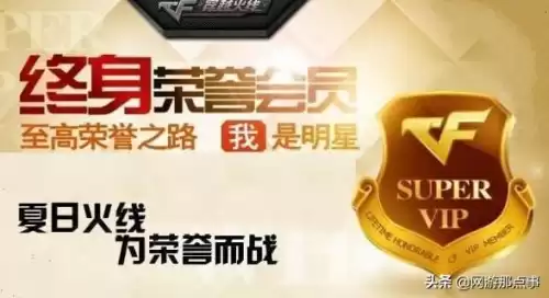 cf终身荣誉会员名片怎么获得　终身荣誉会员穿越火线贴吧-第1张