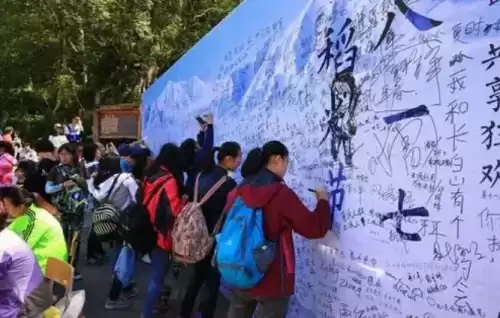 原神怪鸟的水下机关怎么弄　机关洞哪的怪比较多-第12张