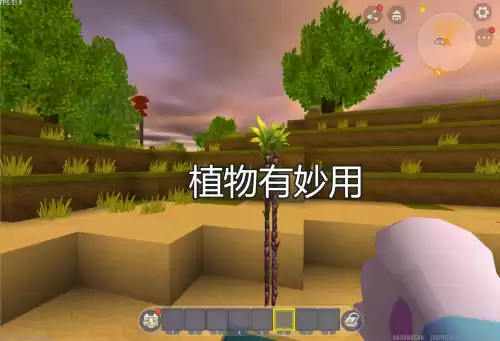 迷你世界灰色龙舌兰能干什么　迷你世界粉色龙舌兰-第1张