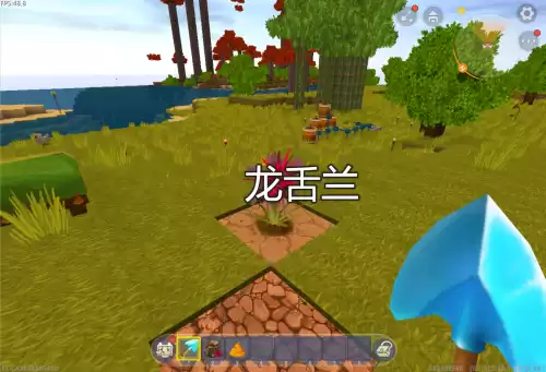 迷你世界灰色龙舌兰能干什么　迷你世界粉色龙舌兰-第3张
