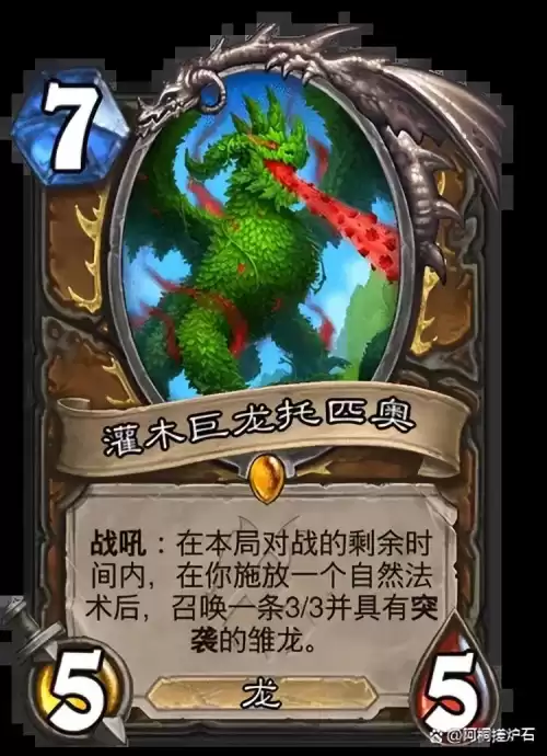 德鲁伊七费的龙牌有哪些　炉石传说龙-第5张