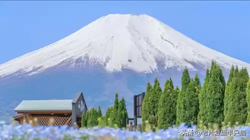天空之城游戏为什么下架了　游戏天空之城-第13张