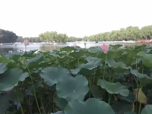 兴许的近义词是什么　力量的近义词是什么-第4张
