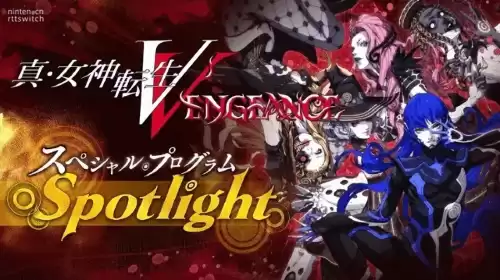 怪物猎人可以联机玩吗switchcase　switch游戏-第4张