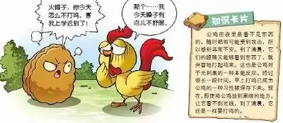 植物大战僵尸漫画哪个系列好看　植物大战僵尸系列漫画-第18张