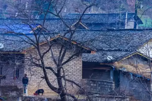 幽灵列车怎么通关　幽灵列车第四关密码-第4张