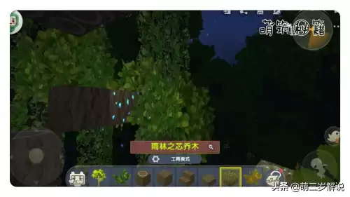 迷你世界如何拾取雨林之眼　迷你世界的雨林之眼怎么做-第8张
