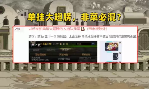 地下城时装背后翅膀　DNF时装-第1张