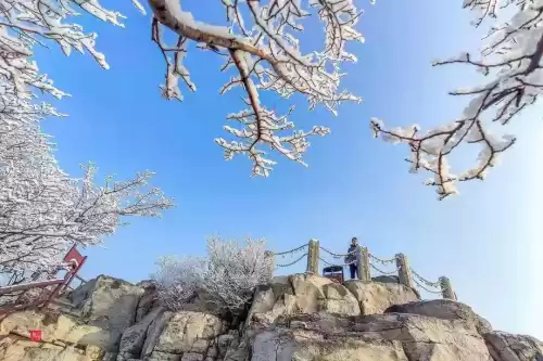 悠久之树雪华怎么获得　绝缘之旗印圣遗物在哪刷-第1张