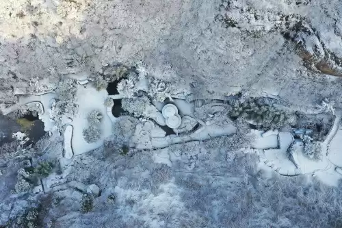 悠久之树雪华怎么获得　绝缘之旗印圣遗物在哪刷-第6张