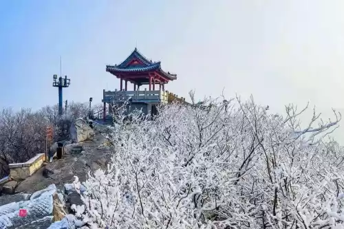 悠久之树雪华怎么获得　绝缘之旗印圣遗物在哪刷-第5张