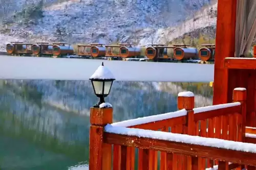 悠久之树雪华怎么获得　绝缘之旗印圣遗物在哪刷-第9张