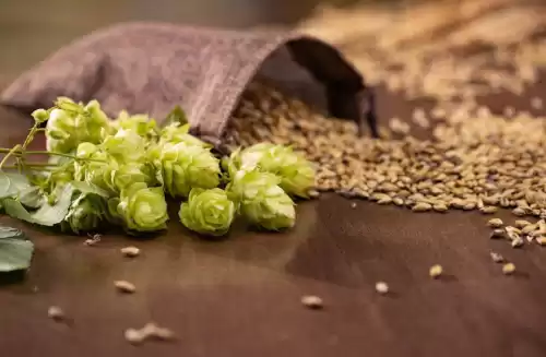 悠久之树雪华怎么获得　绝缘之旗印圣遗物在哪刷-第20张