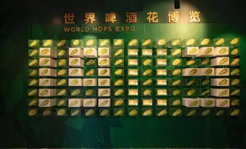 悠久之树雪华怎么获得　绝缘之旗印圣遗物在哪刷-第23张
