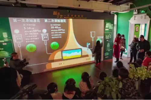 悠久之树雪华怎么获得　绝缘之旗印圣遗物在哪刷-第29张