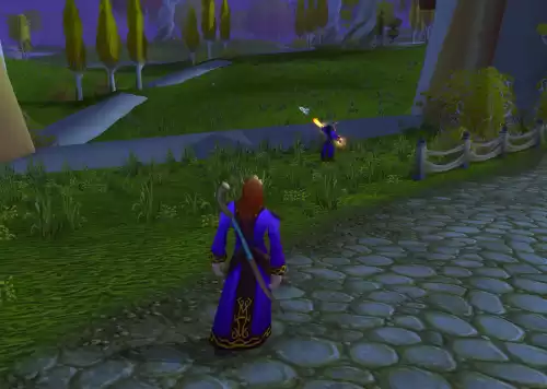 wow锁经验buff别人能看到吗　魔兽世界经验锁定怎么开启-第6张