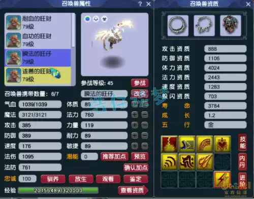 梦幻西游5敏普陀怎么玩　梦幻西游符石搭配-第12张