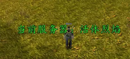 地下城与勇士服务器乱码　dns的服务器地址乱码-第2张
