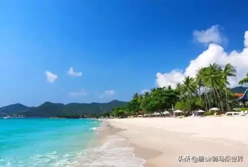 赶尽杀绝不放宽是什么意思　赶尽杀绝不放宽打一动物-第1张