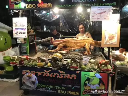 赶尽杀绝不放宽是什么意思　赶尽杀绝不放宽打一动物-第4张