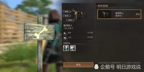明日之后黑背看家好吗　明日之后黑背做负重犬-第2张