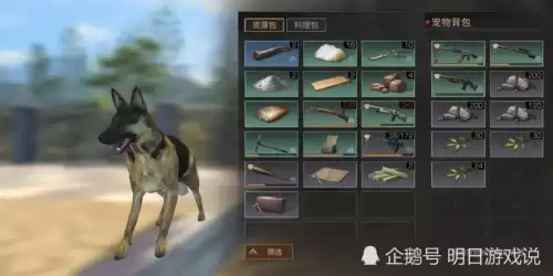 明日之后黑背看家好吗　明日之后黑背做负重犬-第4张