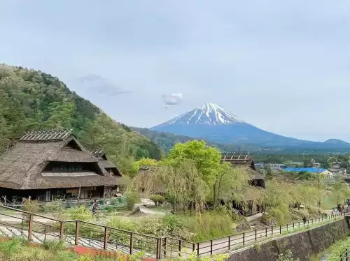 月兔怎么从森林回家　月兔爬雪山会到山顶吗-第10张