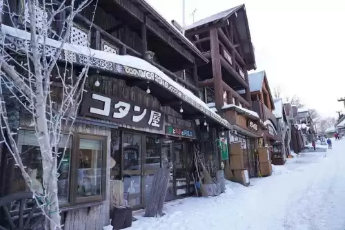月兔怎么从森林回家　月兔爬雪山会到山顶吗-第26张